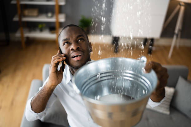 Best Flood restoration services  in Tchula, MS