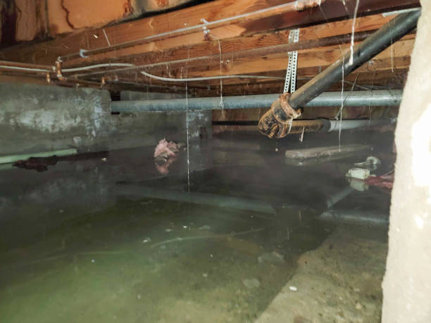 Best Emergency water damage restoration  in Tchula, MS