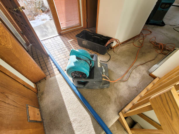 Best Professional water damage repair  in Tchula, MS