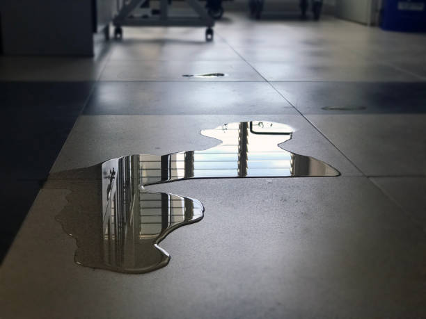 Best Professional water damage repair  in Tchula, MS
