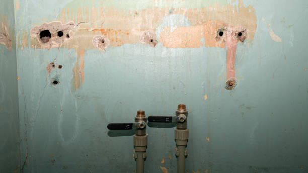 Best Residential water damage restoration  in Tchula, MS