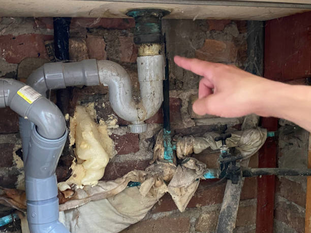 Best Mold removal after water damage  in Tchula, MS