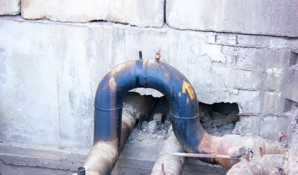 Best Basement water damage restoration  in Tchula, MS