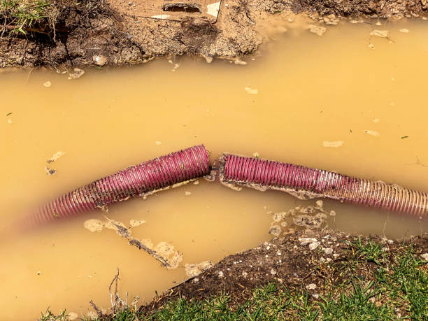 Best 24-hour water damage restoration  in Tchula, MS