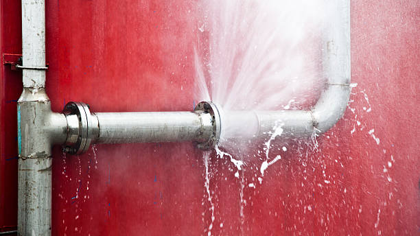 Best Water damage restoration near me  in Tchula, MS